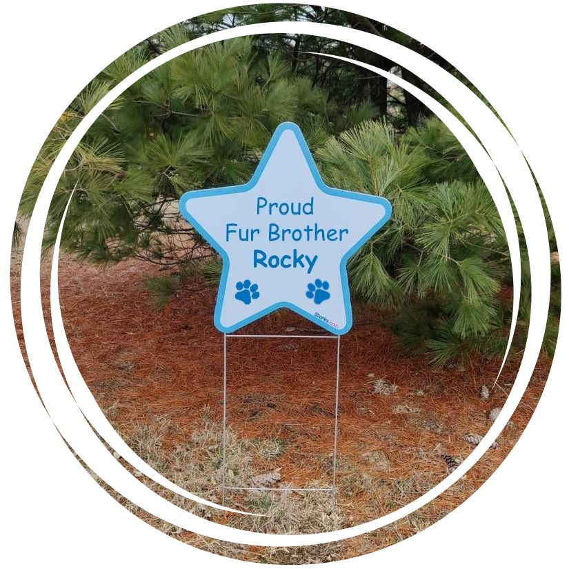 Star Sign for Fur Brother